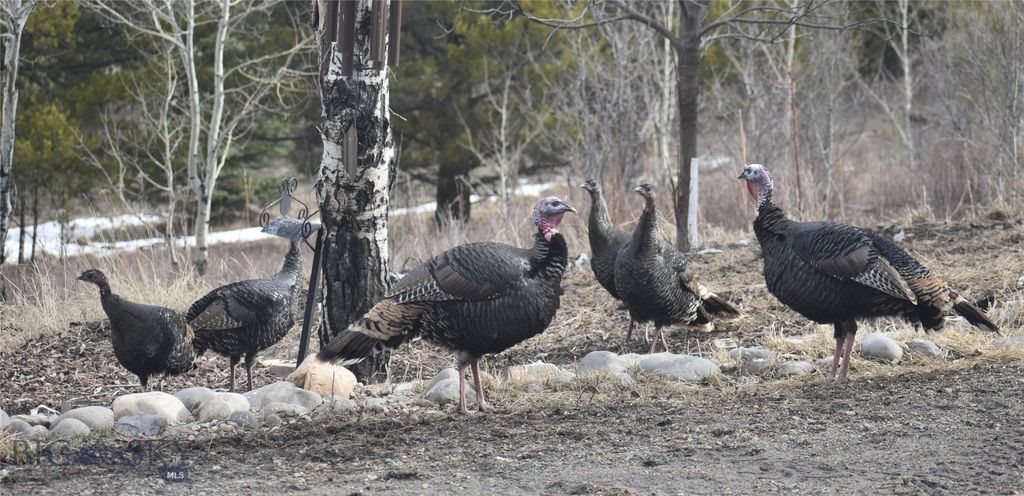 770 Mountain Moose Road, Bozeman, MT 59715 photo 7