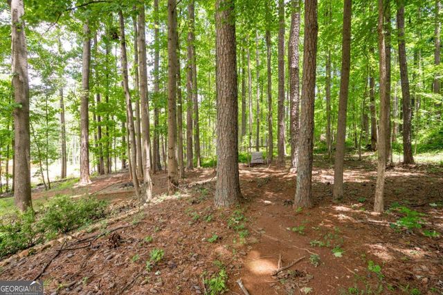 325 Harris Loop, Dallas, GA 30157