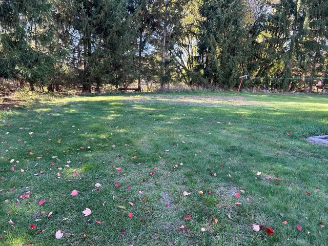 320 Williams Street, Perry, MI 48872