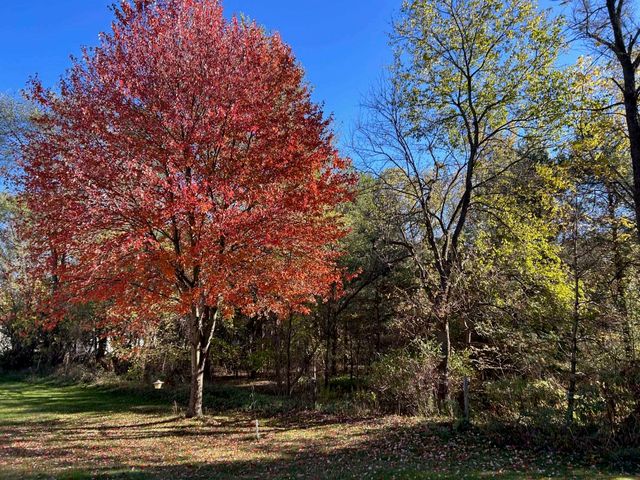 320 Williams Street, Perry, MI 48872