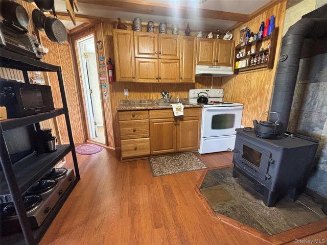 48 Mullen Road, Parksville, NY 12768
