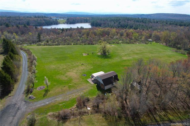 48 Mullen Road, Parksville, NY 12768