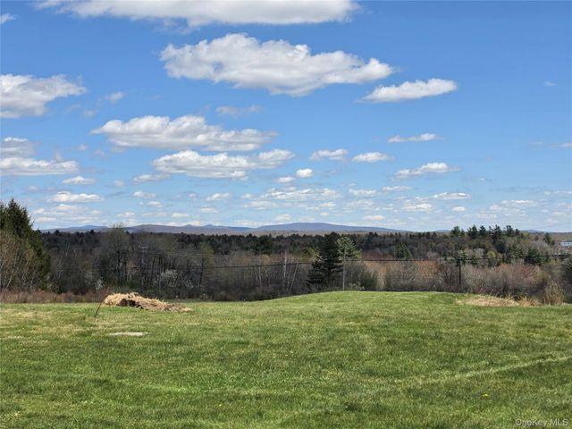 48 Mullen Road, Parksville, NY 12768