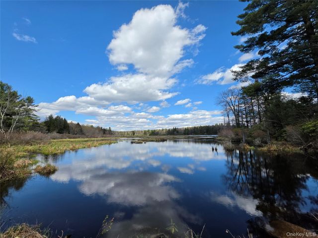 48 Mullen Road, Parksville, NY 12768