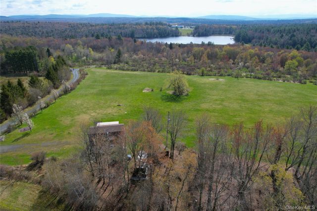 48 Mullen Road, Parksville, NY 12768