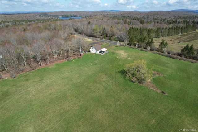 48 Mullen Road, Parksville, NY 12768