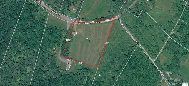 48 Mullen Road, Parksville, NY 12768