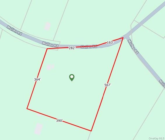 48 Mullen Road, Parksville, NY 12768