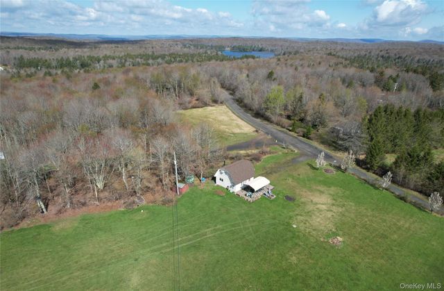 48 Mullen Road, Parksville, NY 12768