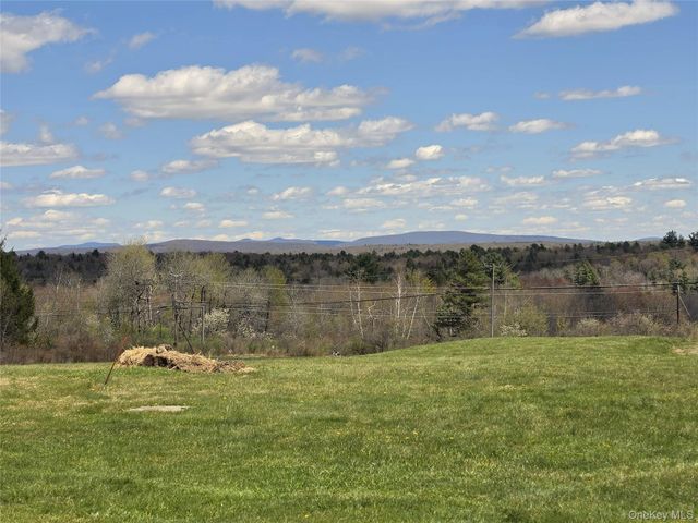 48 Mullen Road, Parksville, NY 12768