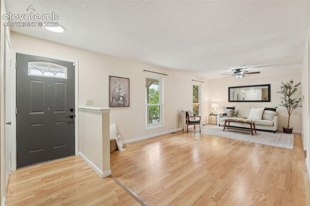 6675 Buffalo Drive, Colorado Springs, CO 80918 — photo 4