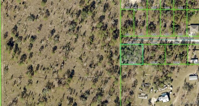 14056 Race Avenue, Brooksville, FL 34614