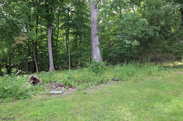 24 Hillside Rd, Rockaway Twp., NJ 07866