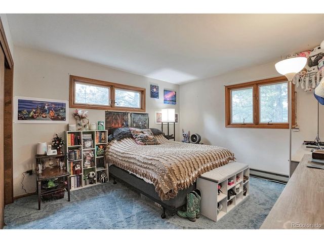 1525 Vigilante Ave, Bailey, CO 80421