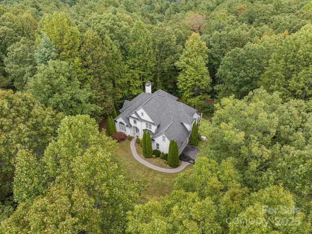 45 Brown Bear Ridge Trail, Zirconia, NC 28790