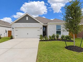 1115 Campside Drive, Beasley, TX 77417