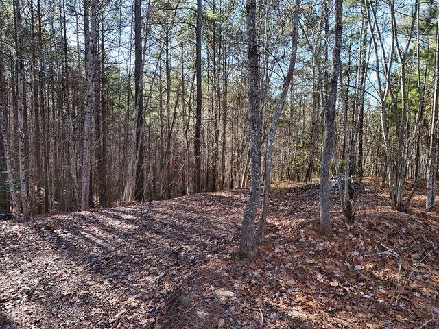 Tract D Carriage Lane Nw, Blairsville, GA 30512