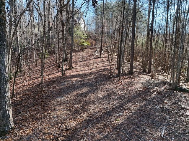 Tract D Carriage Lane Nw, Blairsville, GA 30512