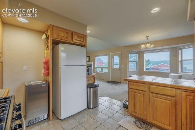 471 Due South Road, Florissant, CO 80816