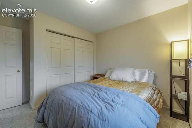 471 Due South Road, Florissant, CO 80816