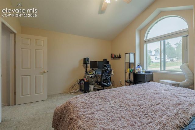 471 Due South Road, Florissant, CO 80816