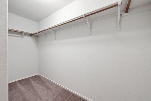 10805 Dimitrios DR, Austin, TX 78747