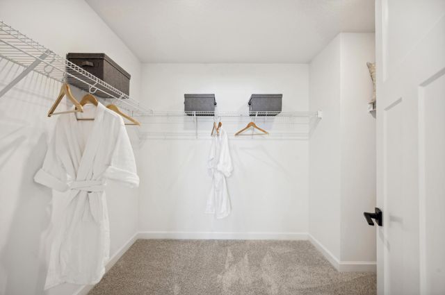 2457 Rock Elm Road, Shakopee, MN 55379