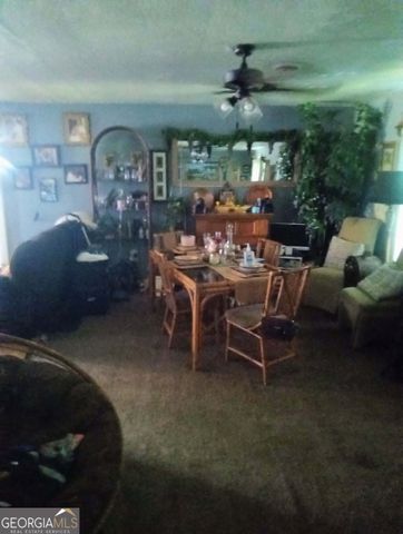 211 Wells Street, Swainsboro, GA 30401