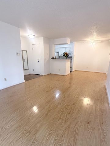 11201 Lynbrook Drive 3822, Houston, TX 77042