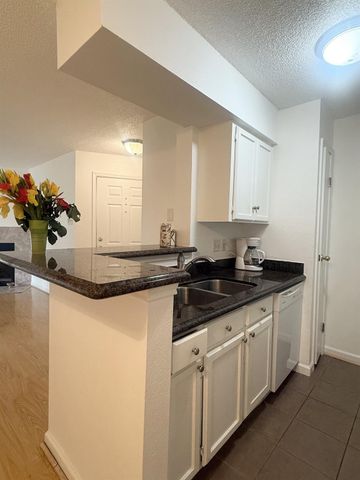 11201 Lynbrook Drive 3822, Houston, TX 77042