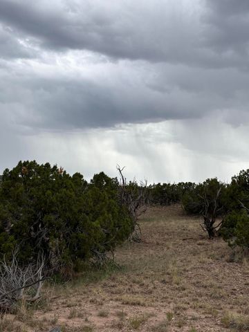 Lot 43 Abbe Spings, Magdalena, NM 87825