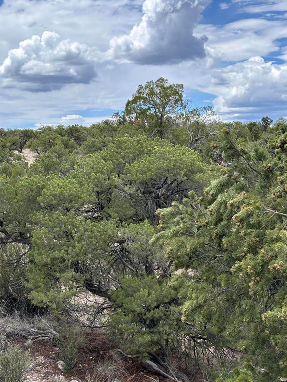 Lot 43 Abbe Spings, Magdalena, NM 87825