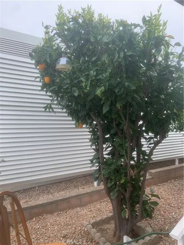 35218 Fir 120, Yucaipa, CA 92399