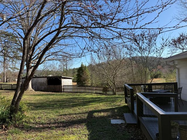 331 Blue Arrow Lane, Mineral Bluff, GA 30599