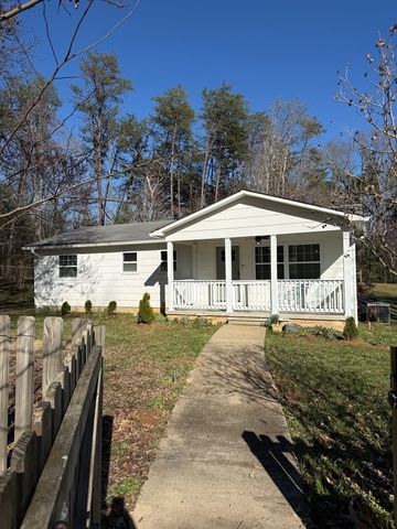 331 Blue Arrow Lane, Mineral Bluff, GA 30599