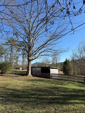 331 Blue Arrow Lane, Mineral Bluff, GA 30599
