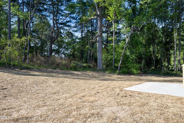 201 W Hamer Street, Coats, NC 27521