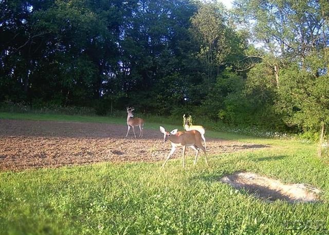 5611 S Adrian Highway, Madison Twp, MI 49221