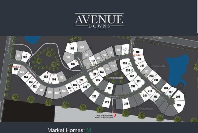 2948 Avenue Downs Dr, Thompsons Station, TN 37179