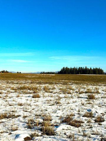 46XX Bittrich-Antler Rd, Deer Park, WA 99006