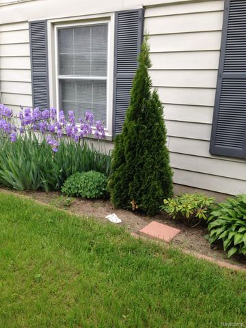2978 Elmwood Court, Lake Orion Village, MI 48360