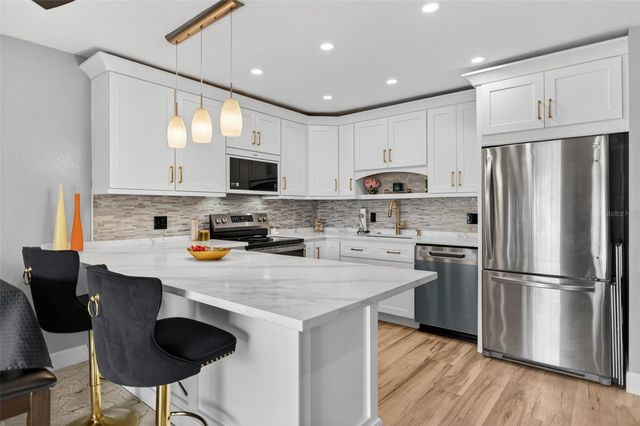 6537 CAPE HATTERAS WAY NE 1, St Petersburg, FL 33702