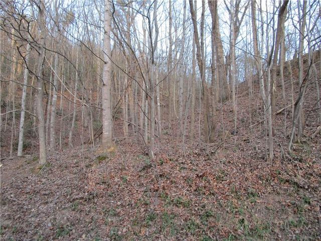Lot 49 Long Mountain Trail, Cleveland, GA 30528