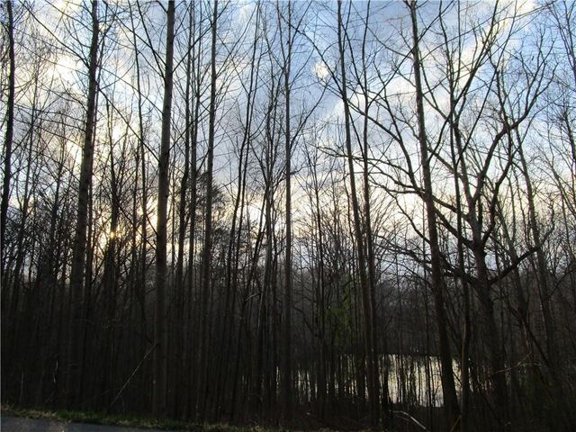 Lot 49 Long Mountain Trail, Cleveland, GA 30528