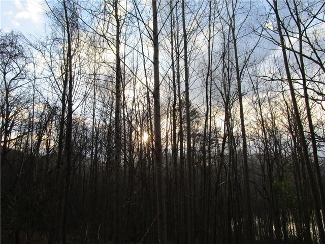 Lot 49 Long Mountain Trail, Cleveland, GA 30528