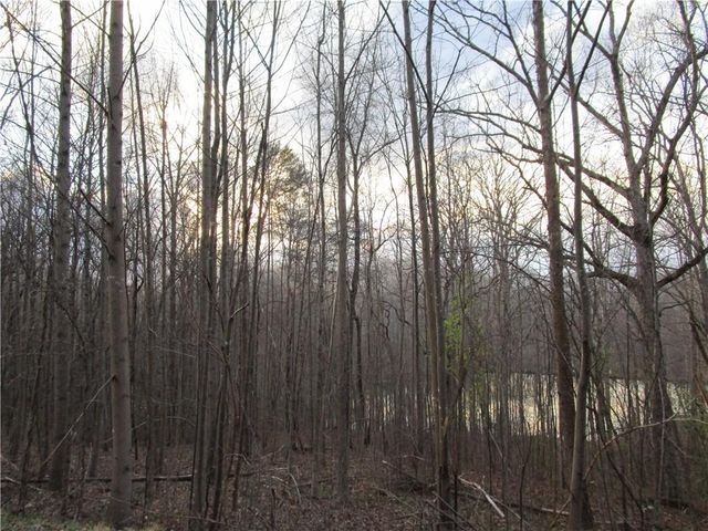 Lot 49 Long Mountain Trail, Cleveland, GA 30528