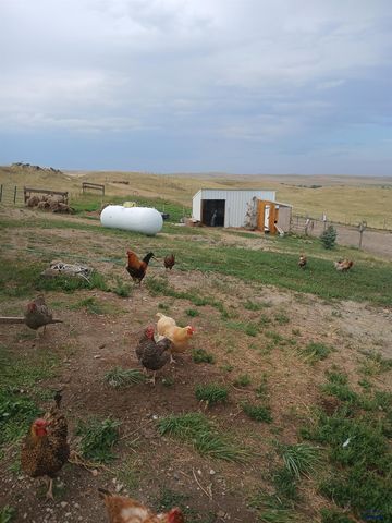 24148 DEWEY LN, Hermosa, SD 57744
