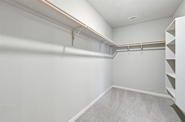 510 Apache Plum DR, Kyle, TX 78640