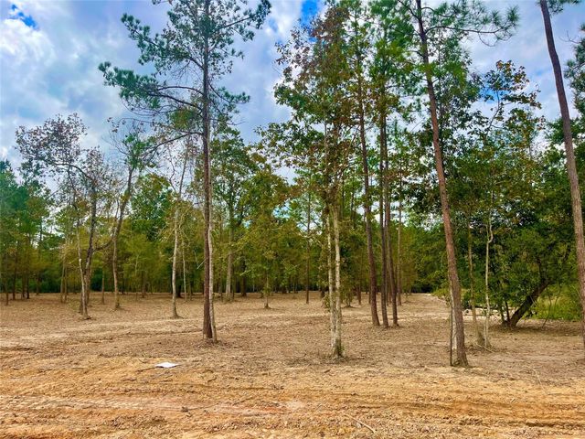11766 Grand North Road, Willis, TX 77378