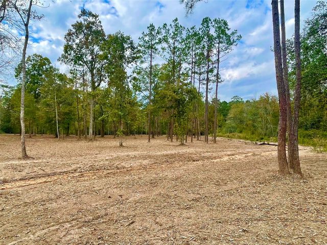 11766 Grand North Road, Willis, TX 77378